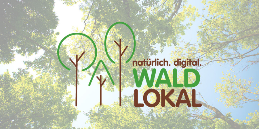 Wir unterstützen gesunde Wälder