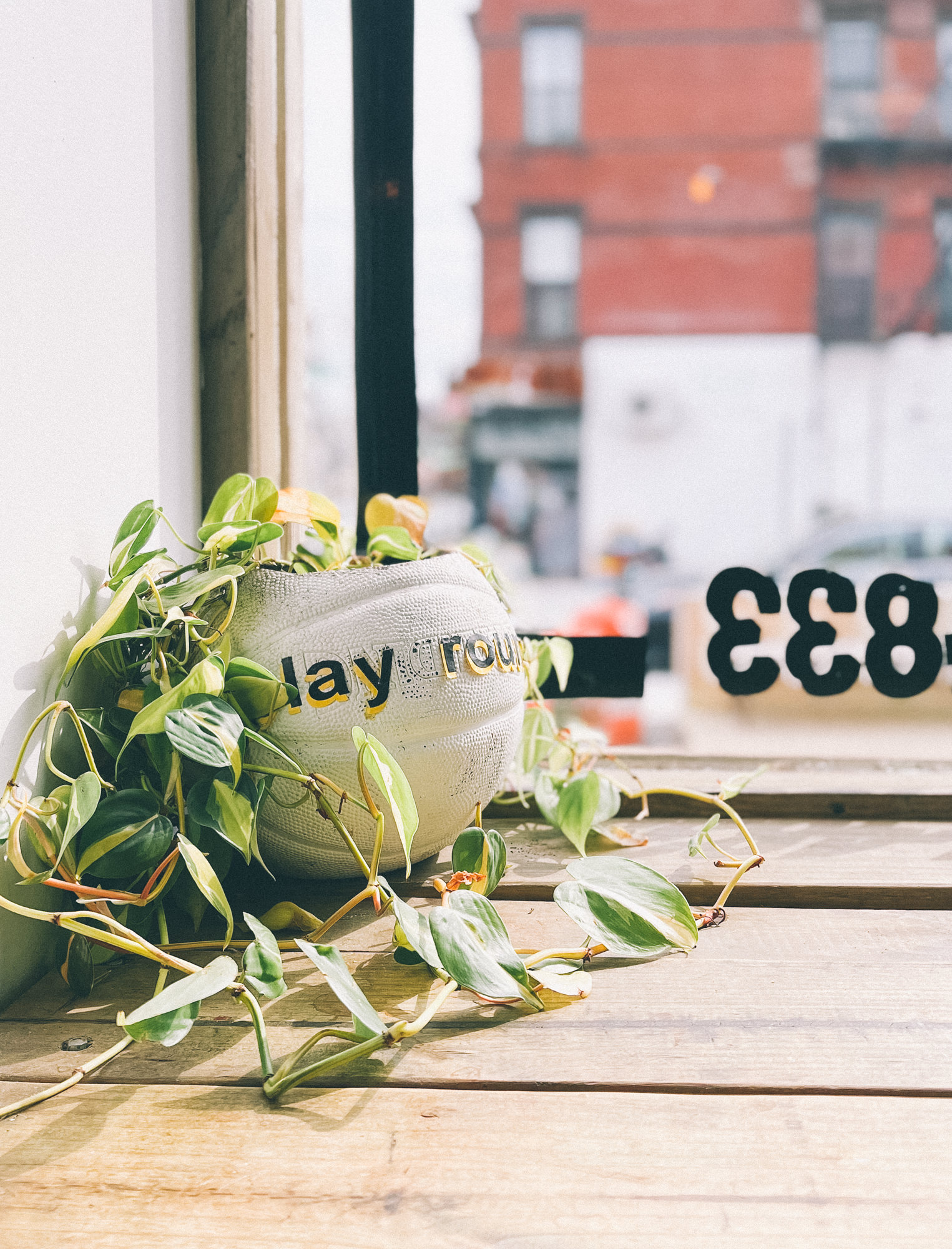 Coffee and Books and apparel and community space, Trendy hybrid coffee