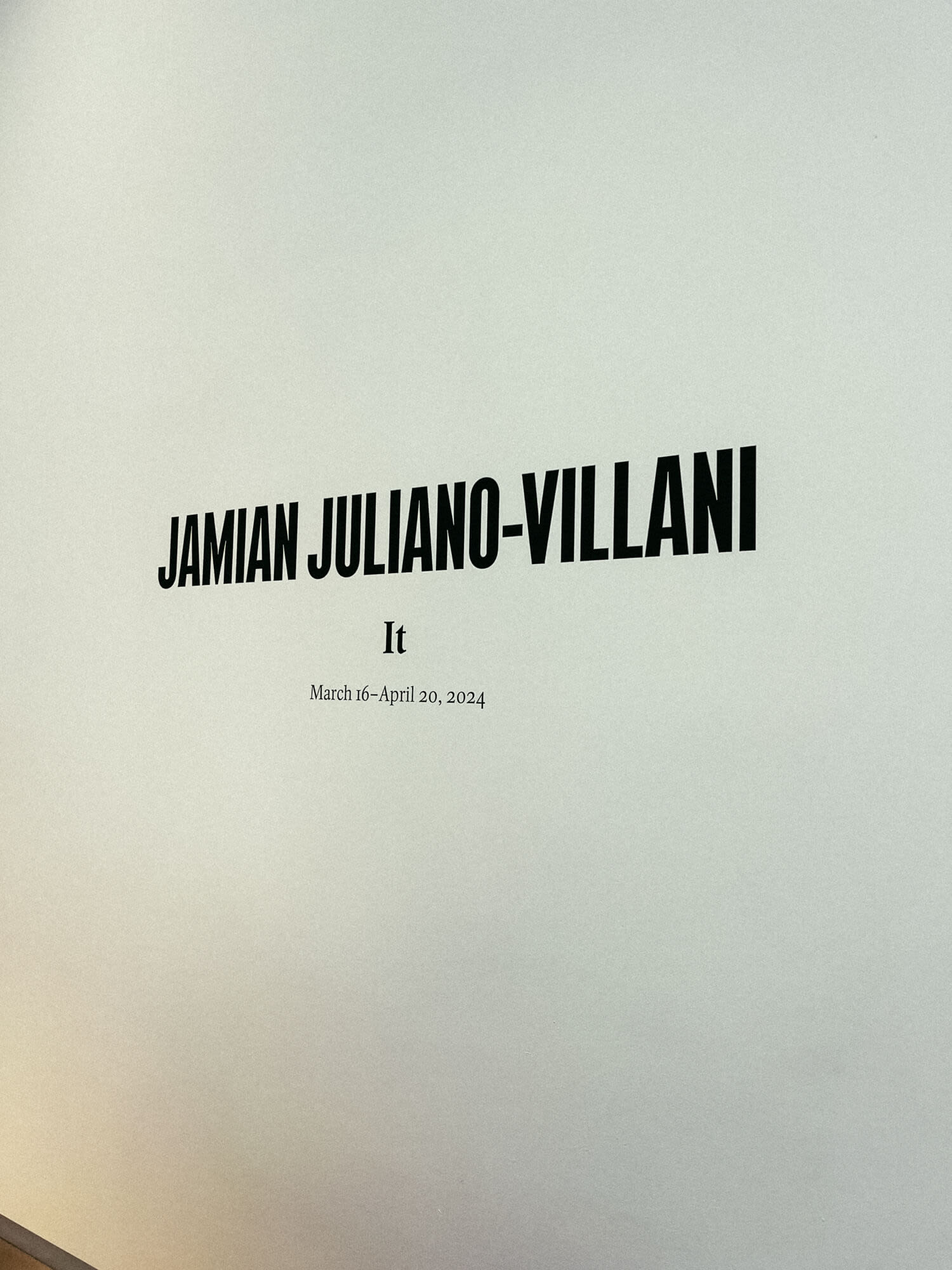 jamian-juliano-villani-it-1