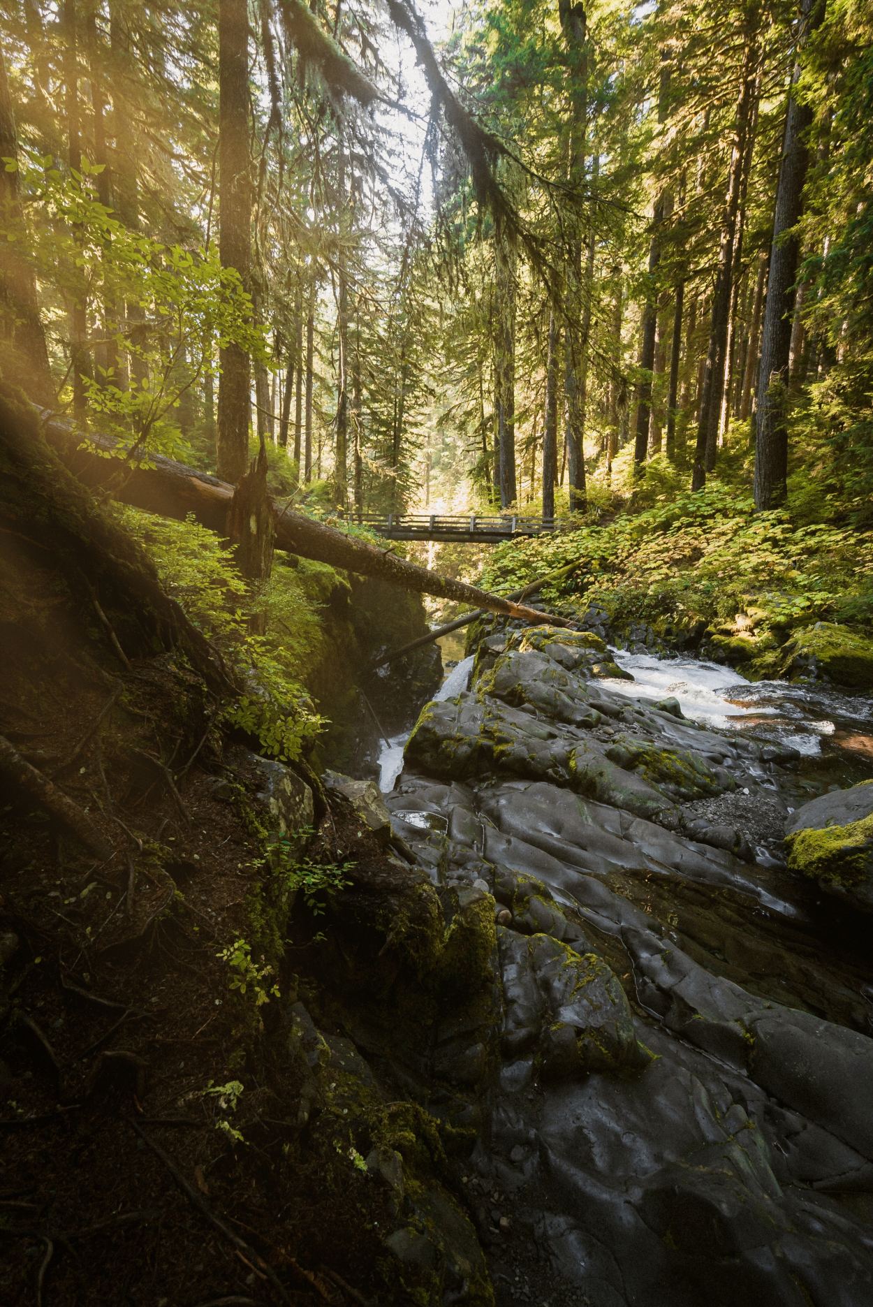 Sol Duc Falls in Sol Duc Valley