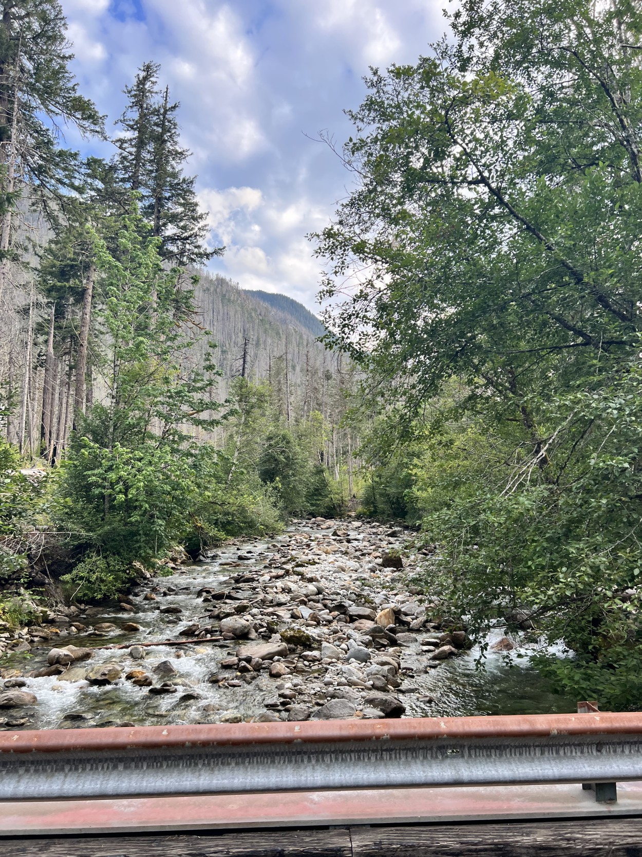 View of Skagit River from suspension bridge leading into Newhalem.