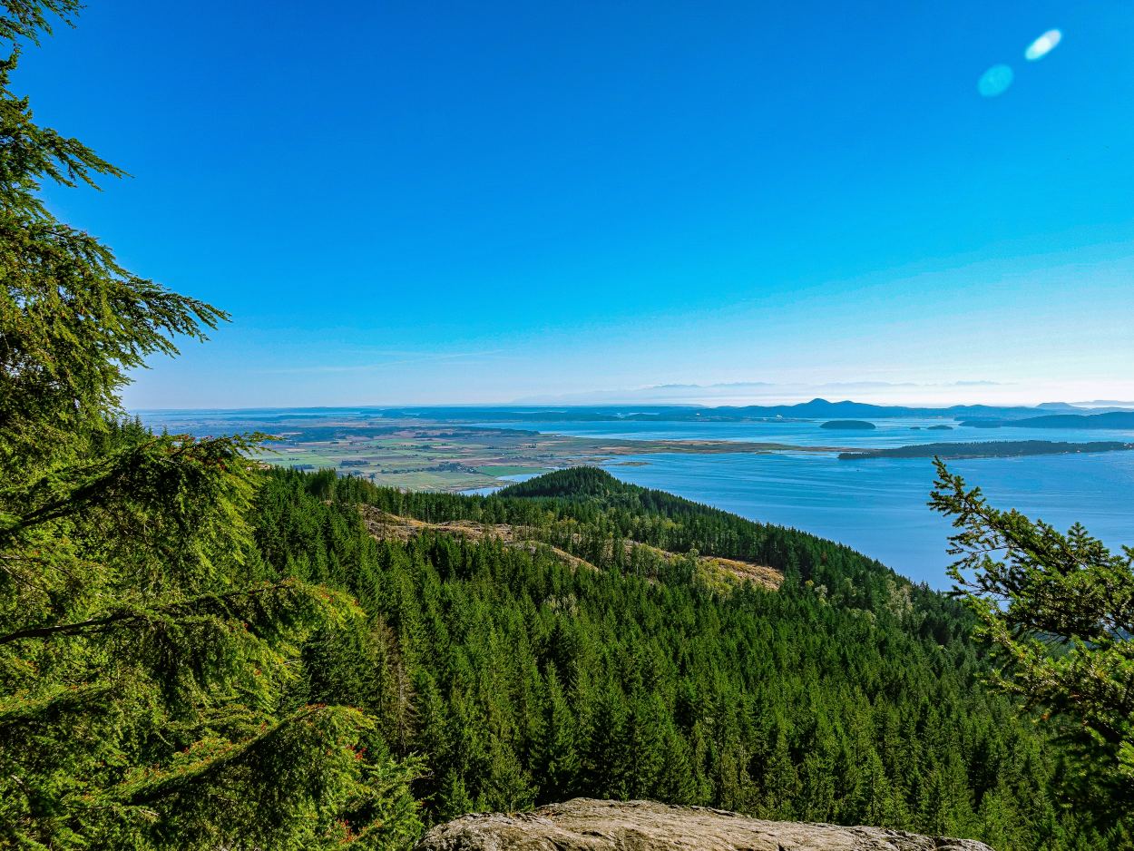 Oyster Dome Viewpoint