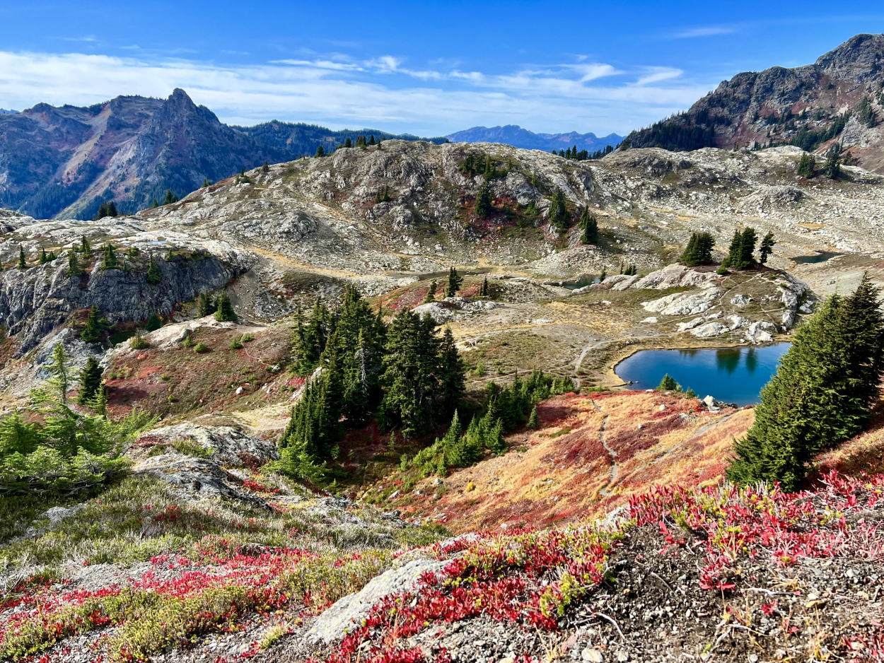 Fall colors at Yellow Aster Butte