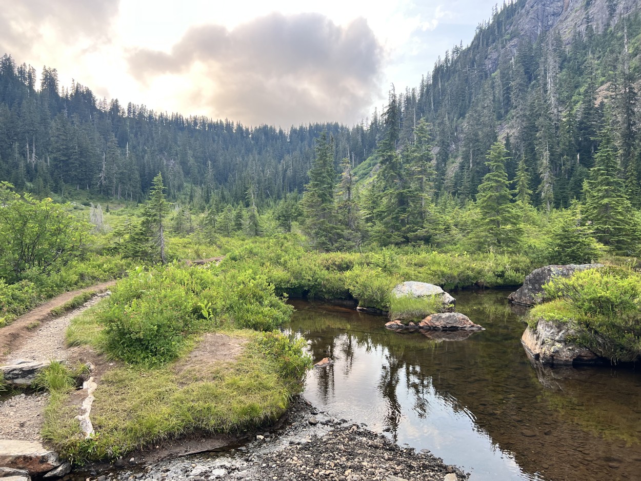 Meadow and stream on Lake Ann trail