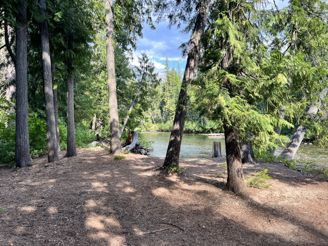 View of creek from Ida Creek campsite with trees nearby