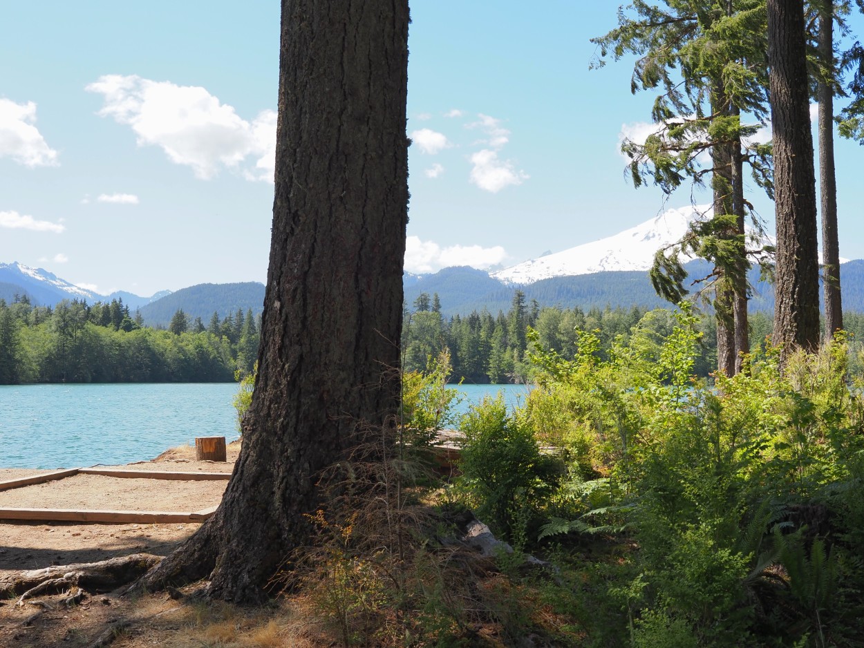 View of Mount Baker from Anderson Point campsite