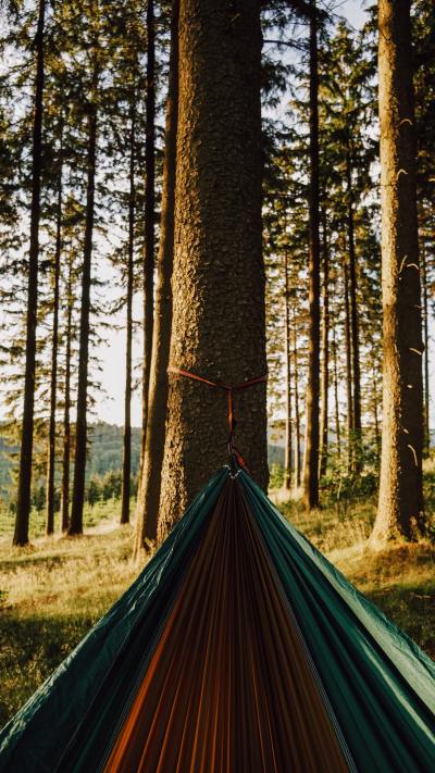 Laying in hammock looking out