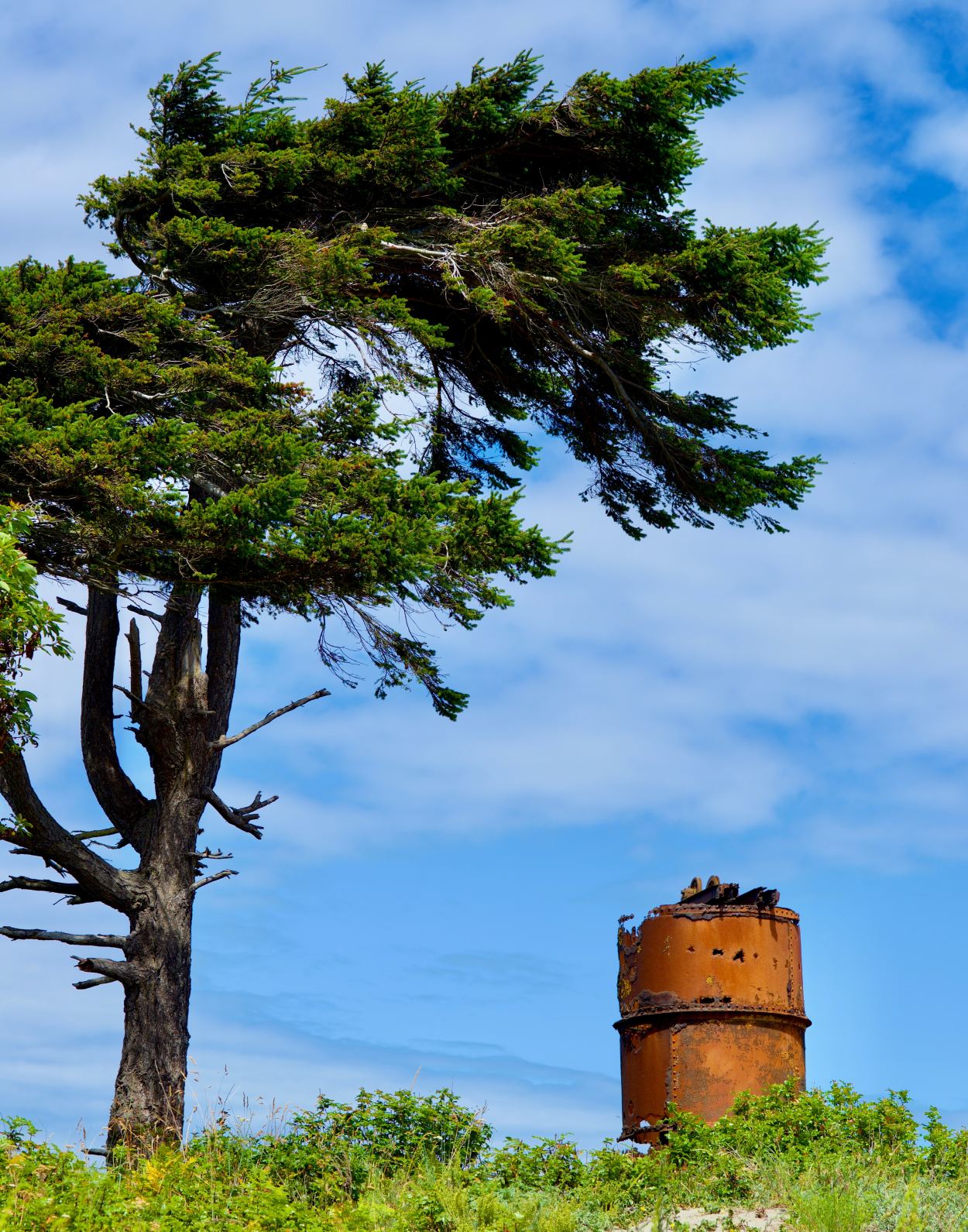 Fort Worden State Park tower