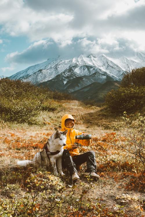 Dog with someone drinking coffee with mountain in background