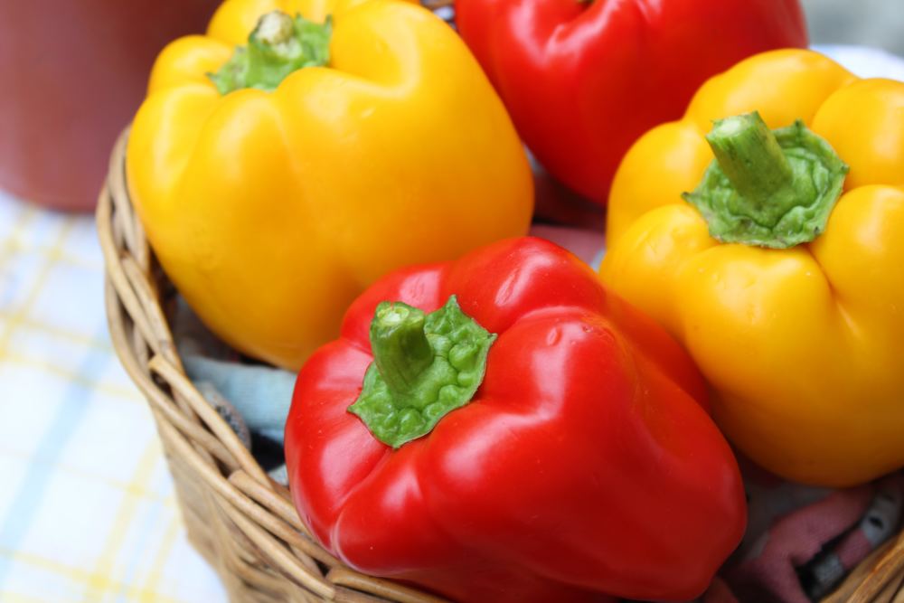 Red and yellow bell peppers in basket