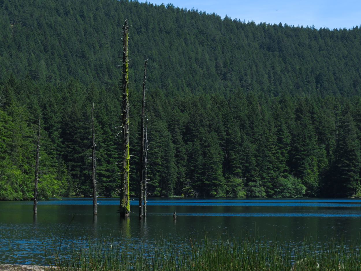 Lake view at Moran State Park