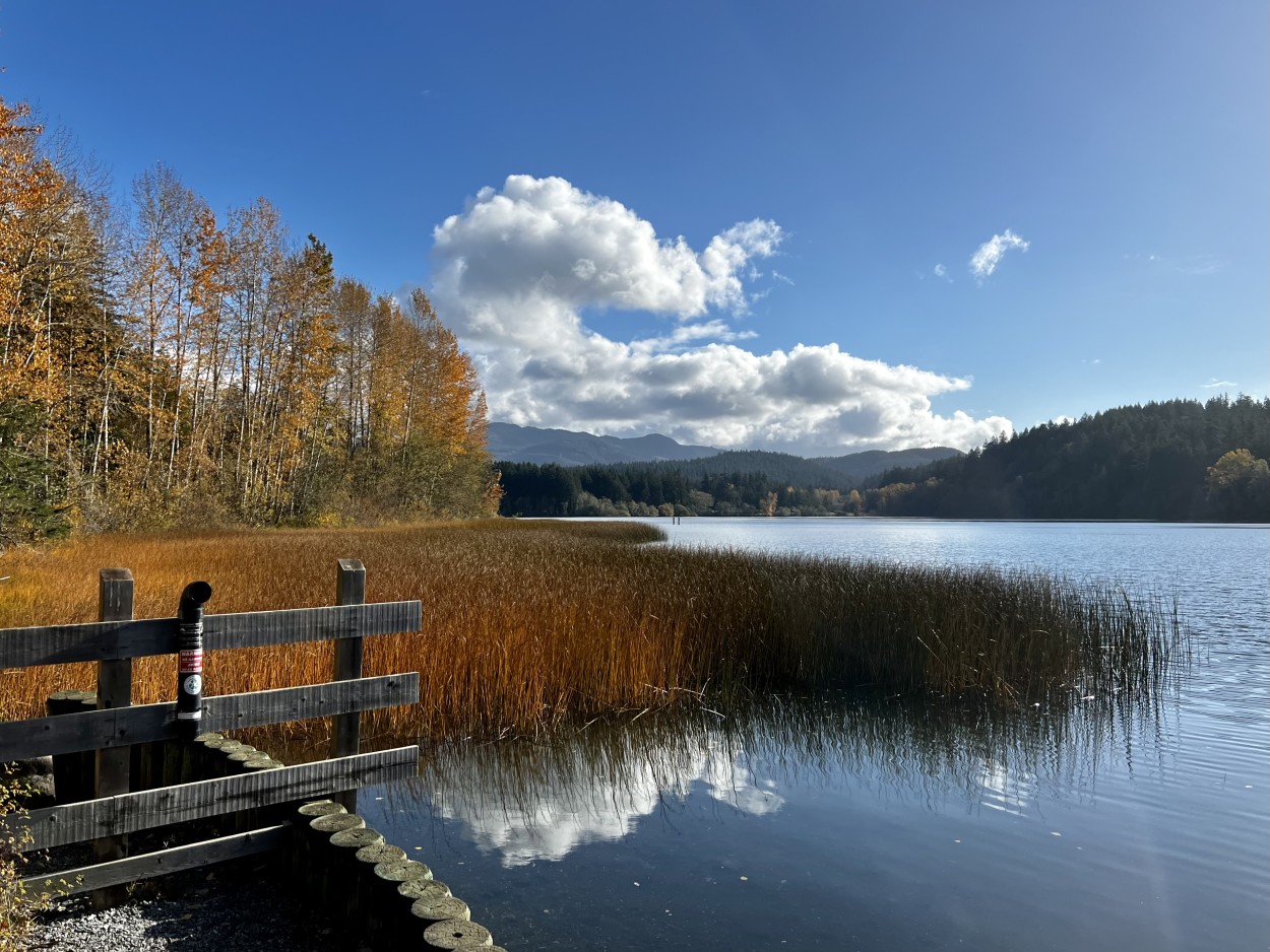 View from shore of Lake Padden