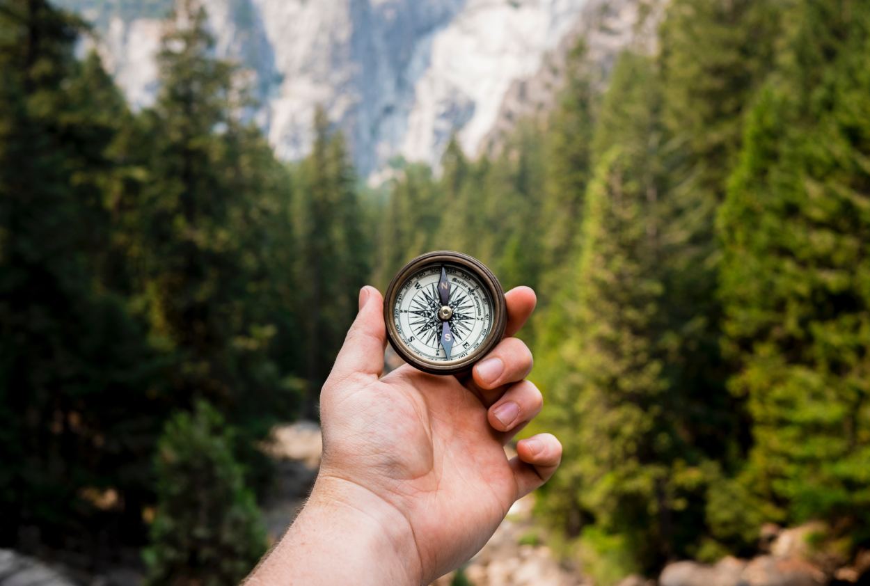 Compass in forest