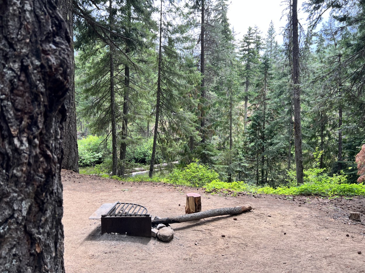 View of campfire ring at Rock Island campground