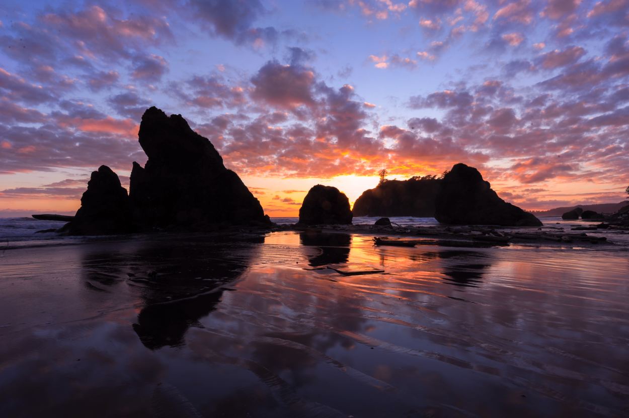 Olympic National Park coast sunset