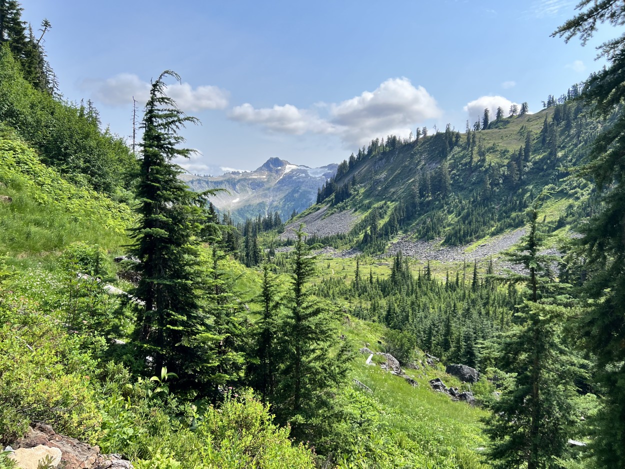 View of meadows from Lake Ann trail