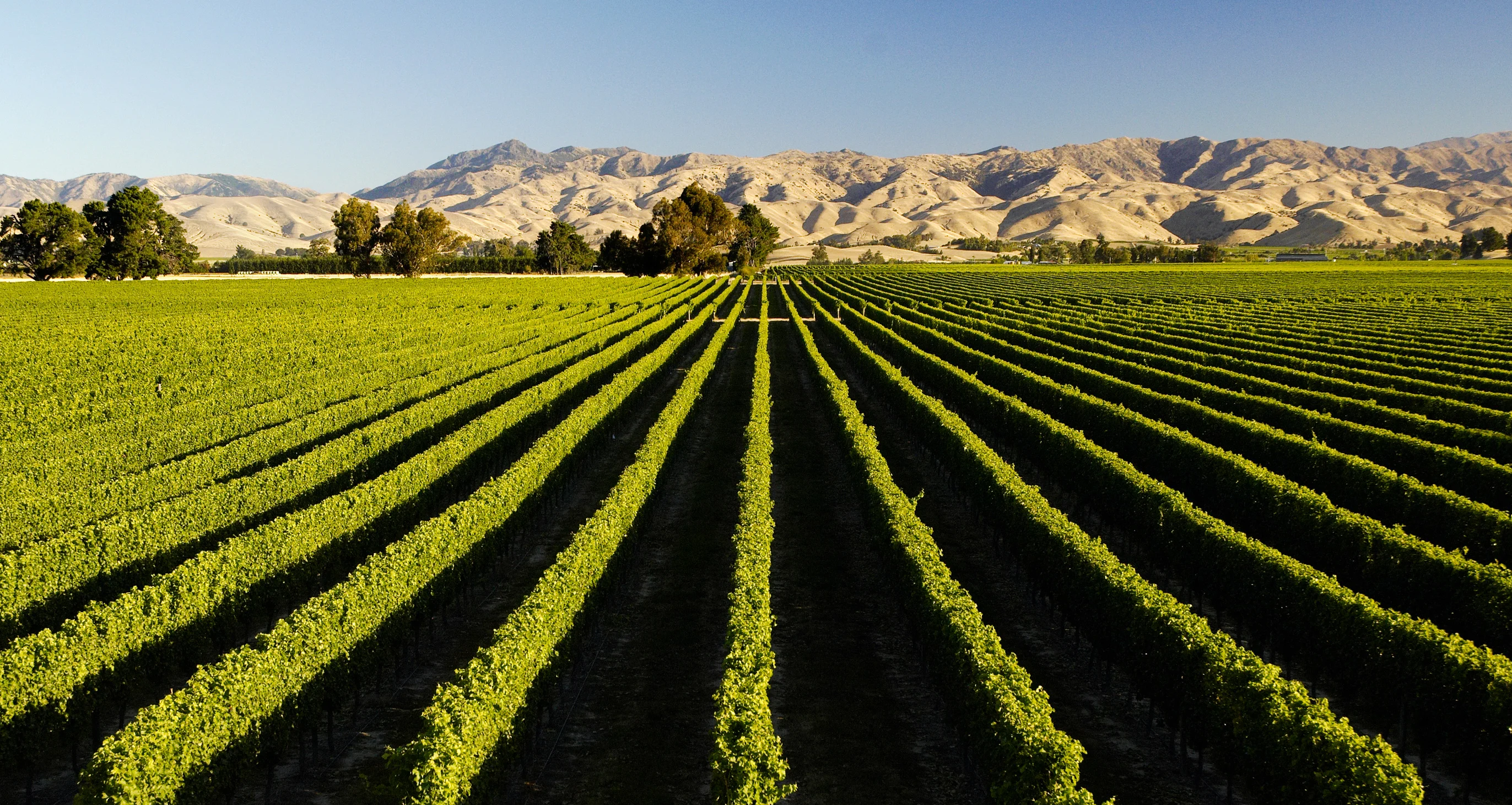 Marlborough