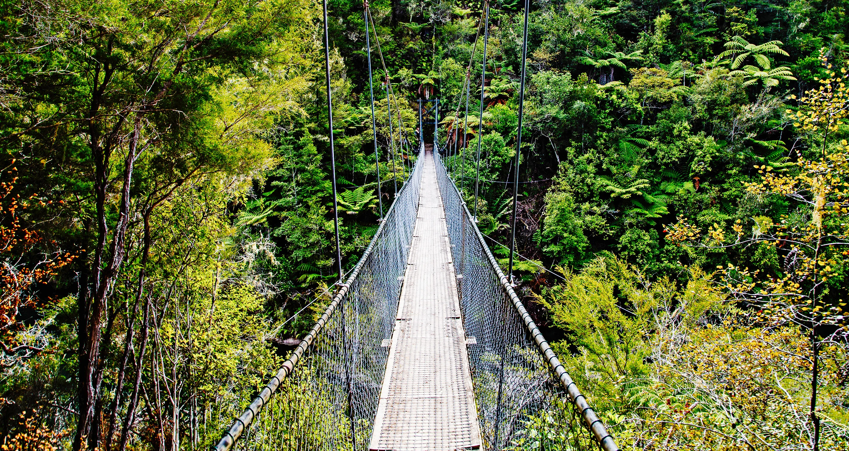 Nelson-Tasman