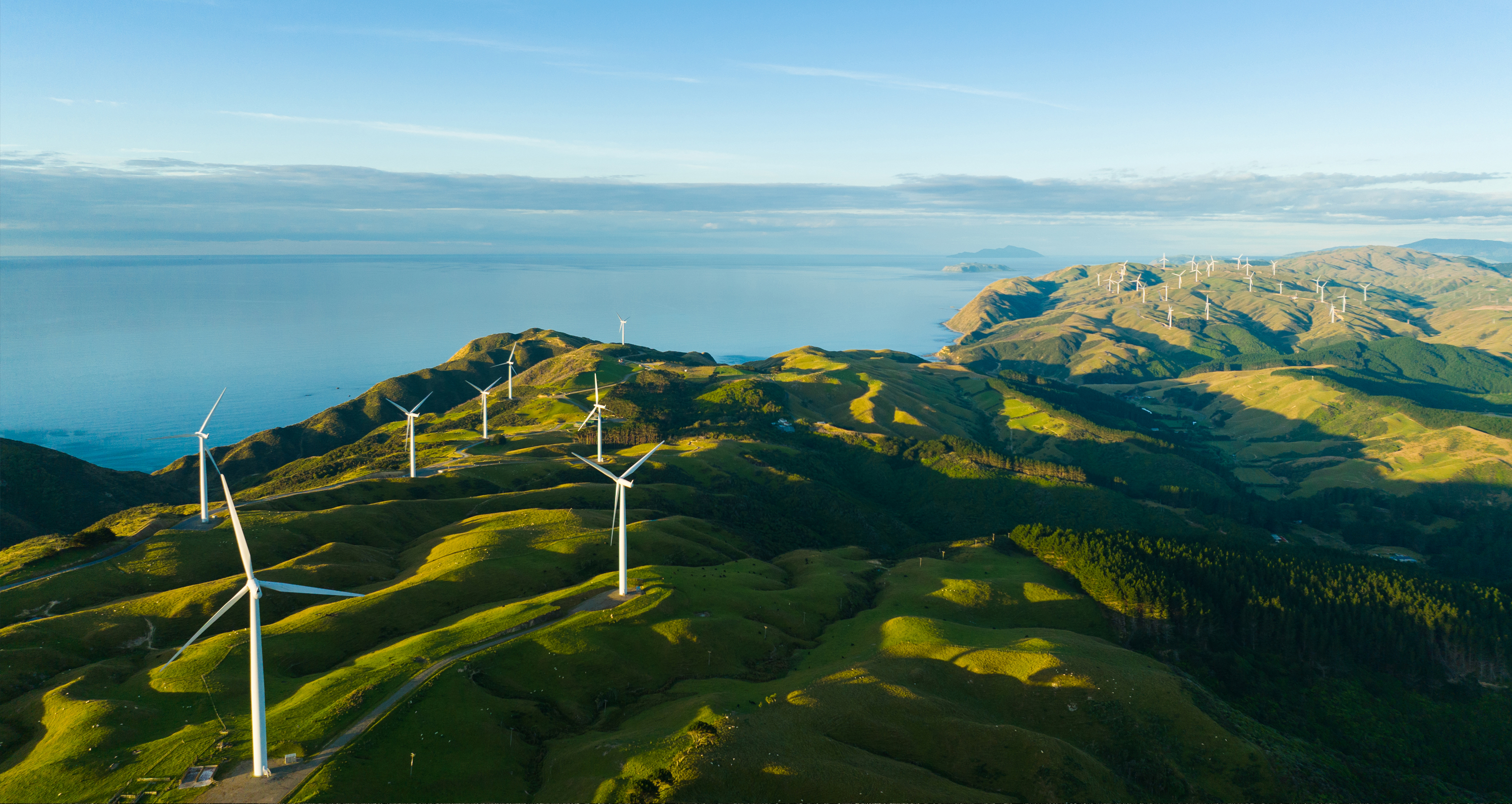 Wind farm, New Zealand