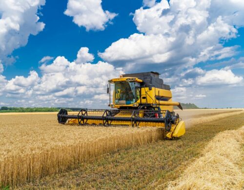 04 Agriculture-500x389