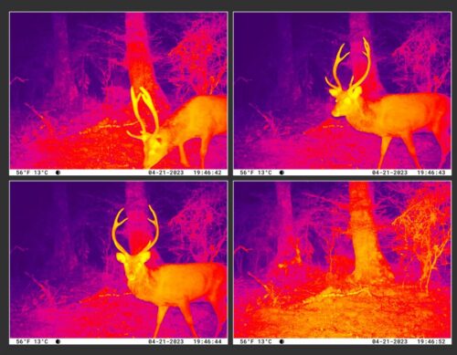 SPECIAL TECHNOLOGIES FOR NIGHT VISION (NVS)