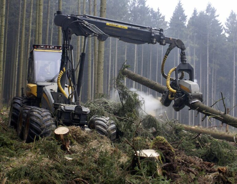 TEMPLATE-Blog-pictures-22-768x597