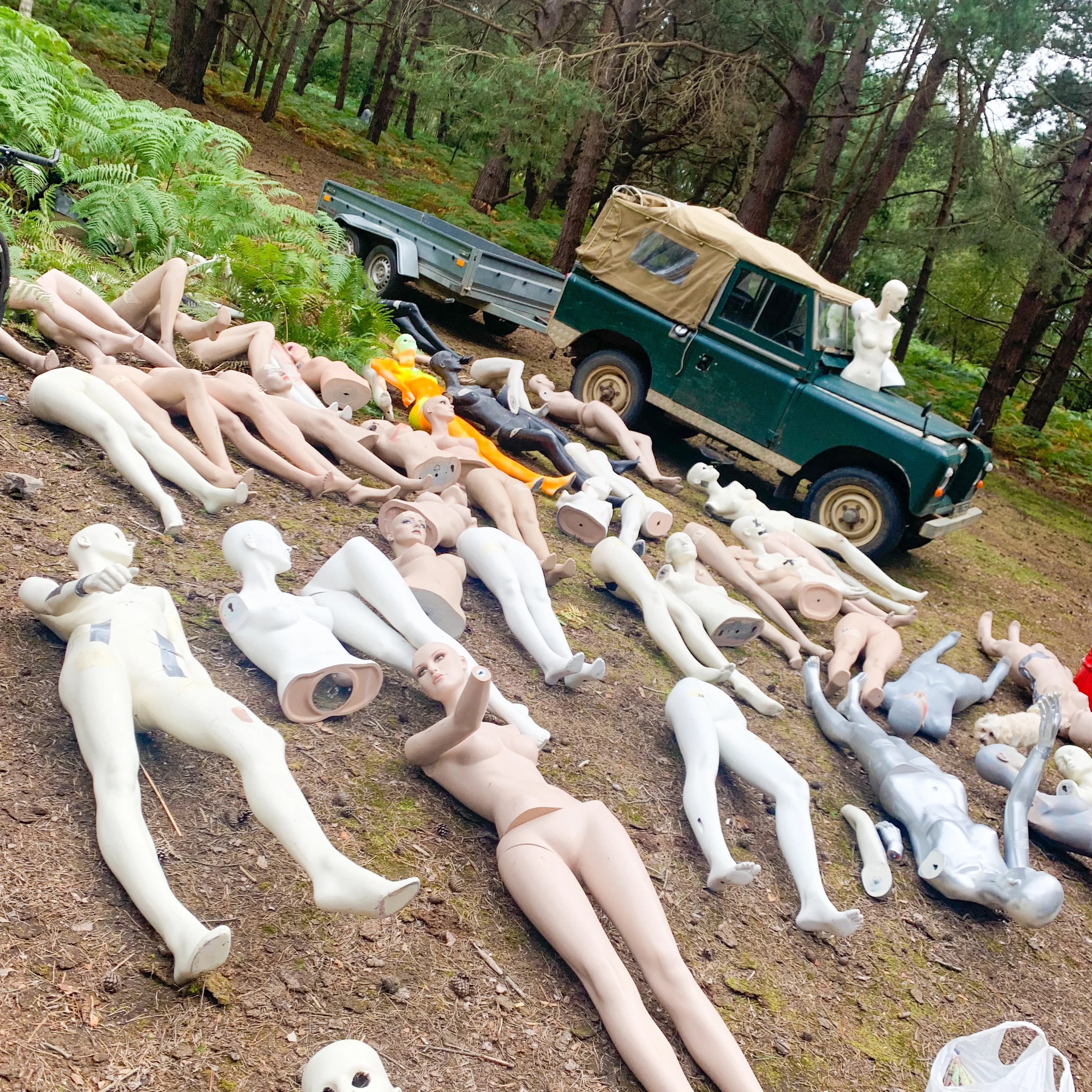 wood-party-27 wood-party-27