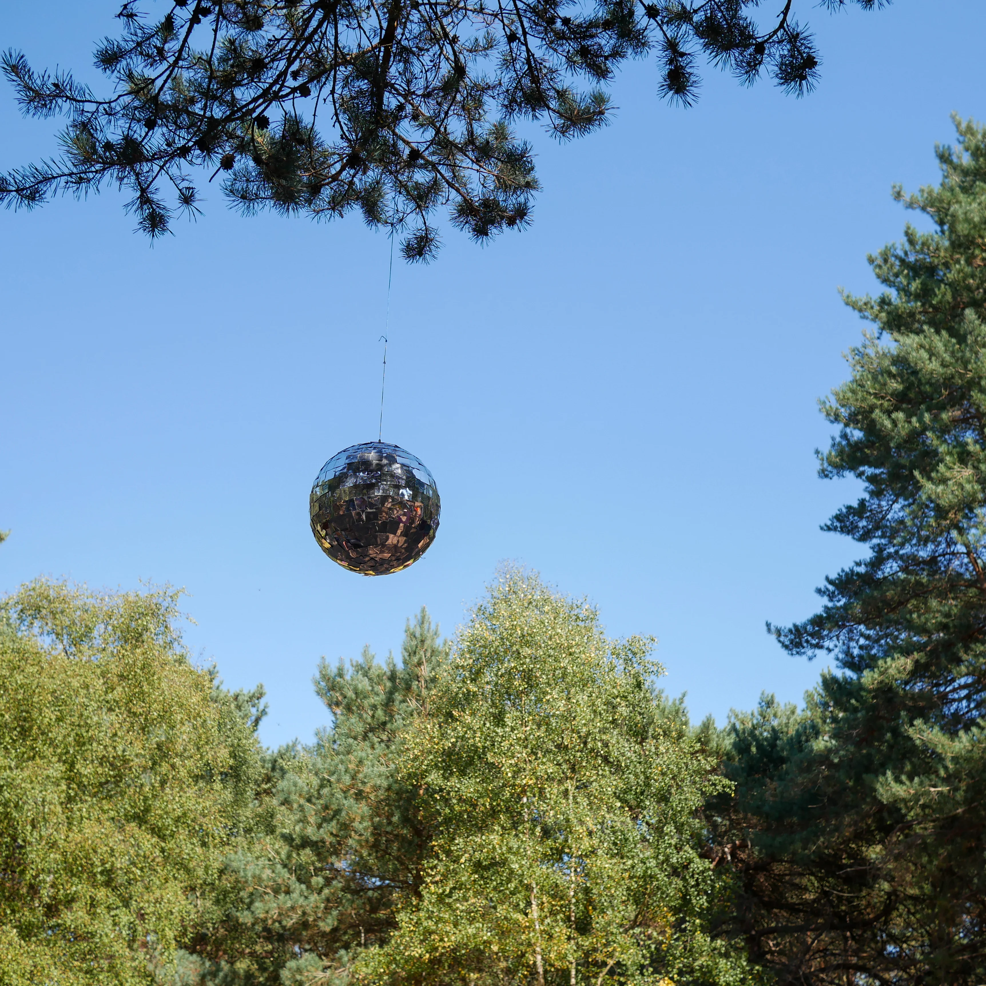 wood-party-18 wood-party-18