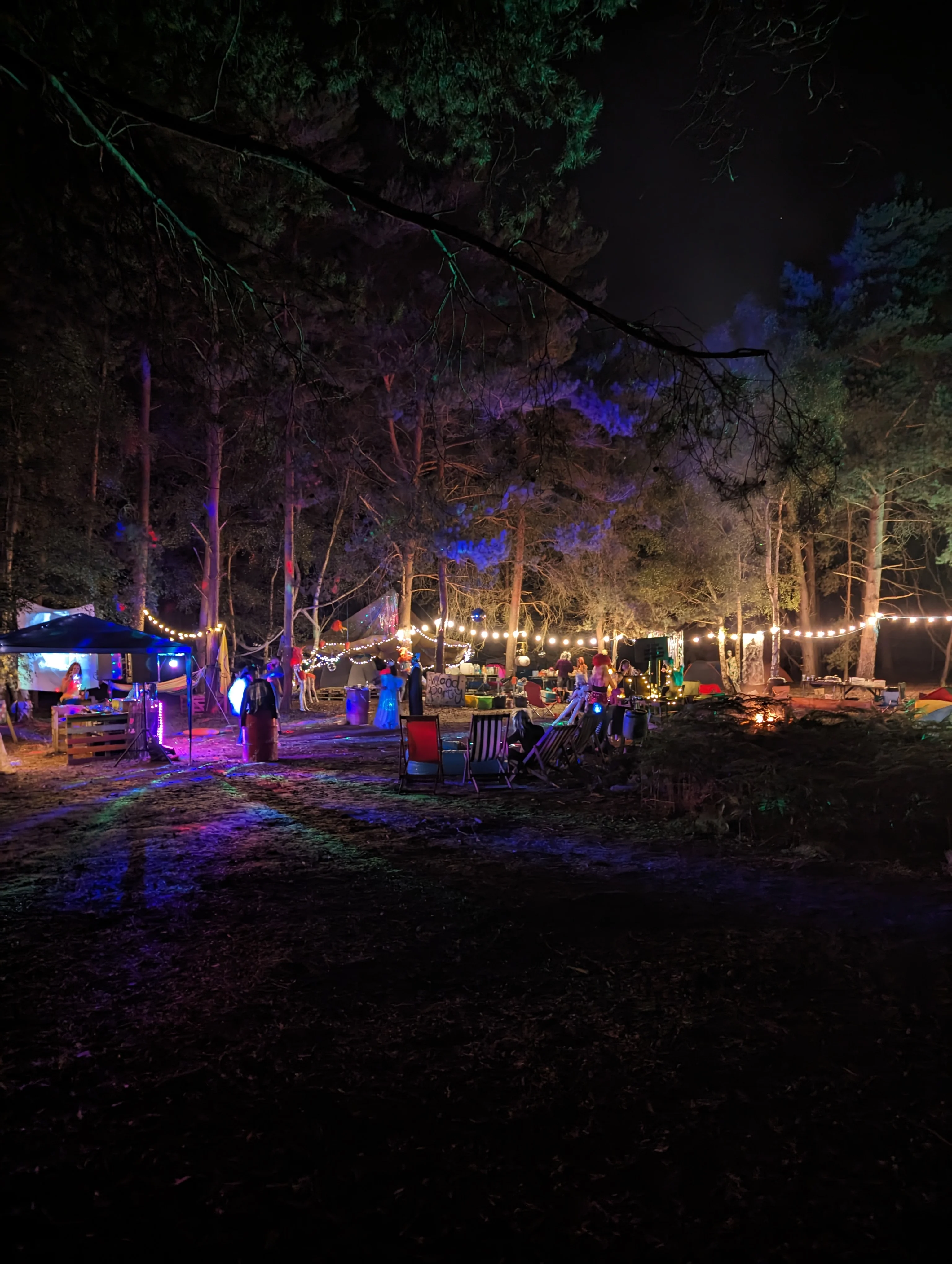 Dark woodland which is hosting a party. We can see the lights, fire, gazebo and people dancing in a colourful setting