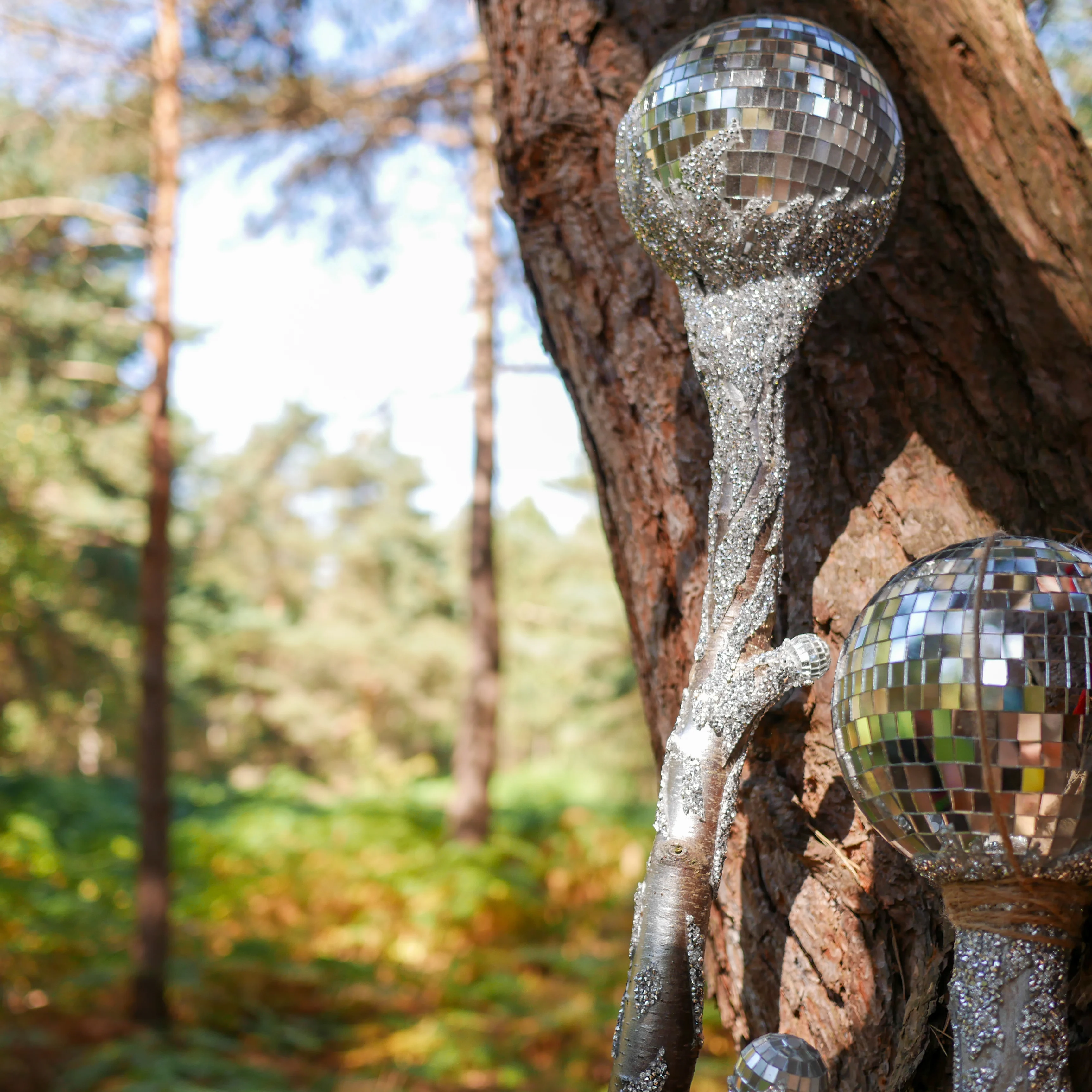 wood-party-16 wood-party-16