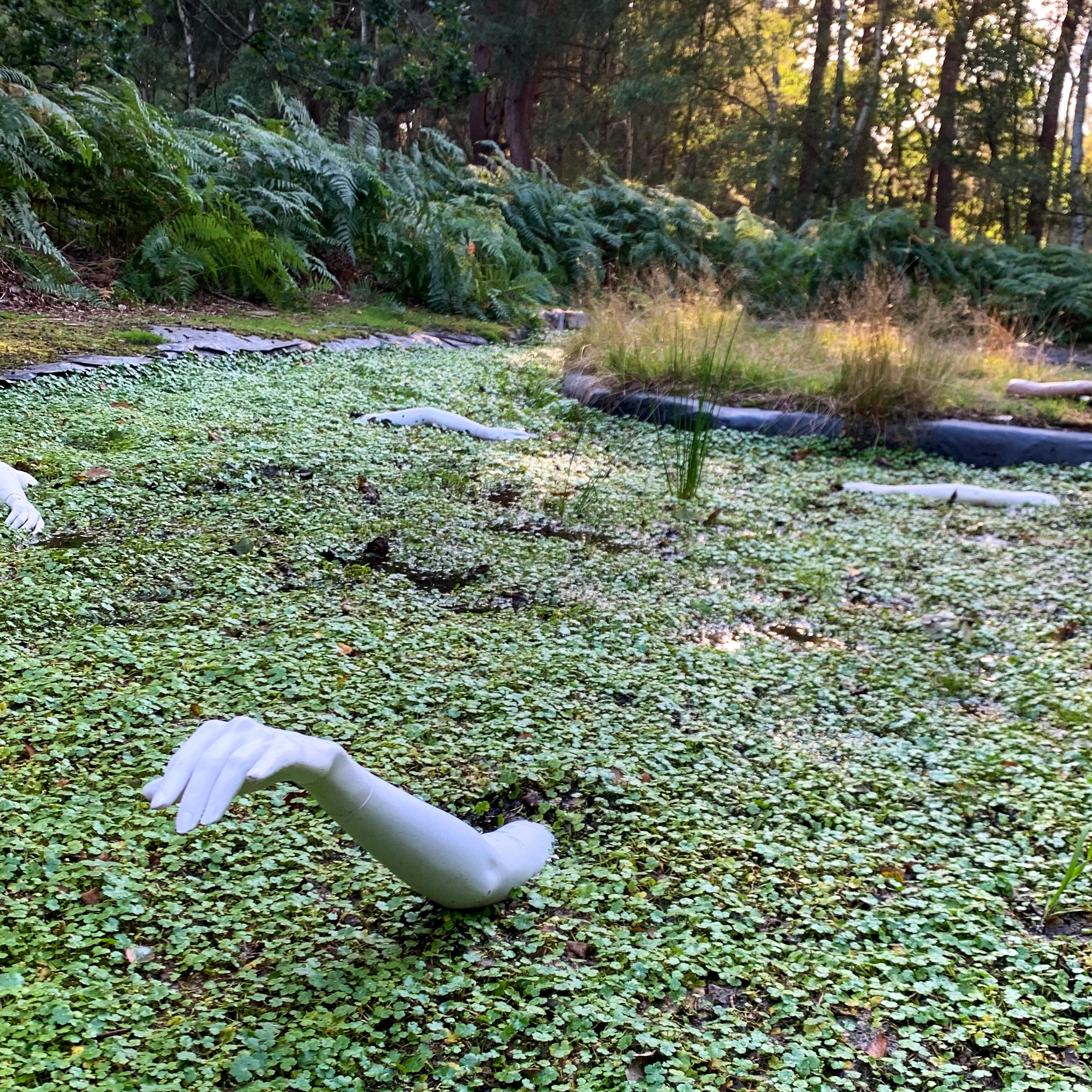 wood-party-23 wood-party-23