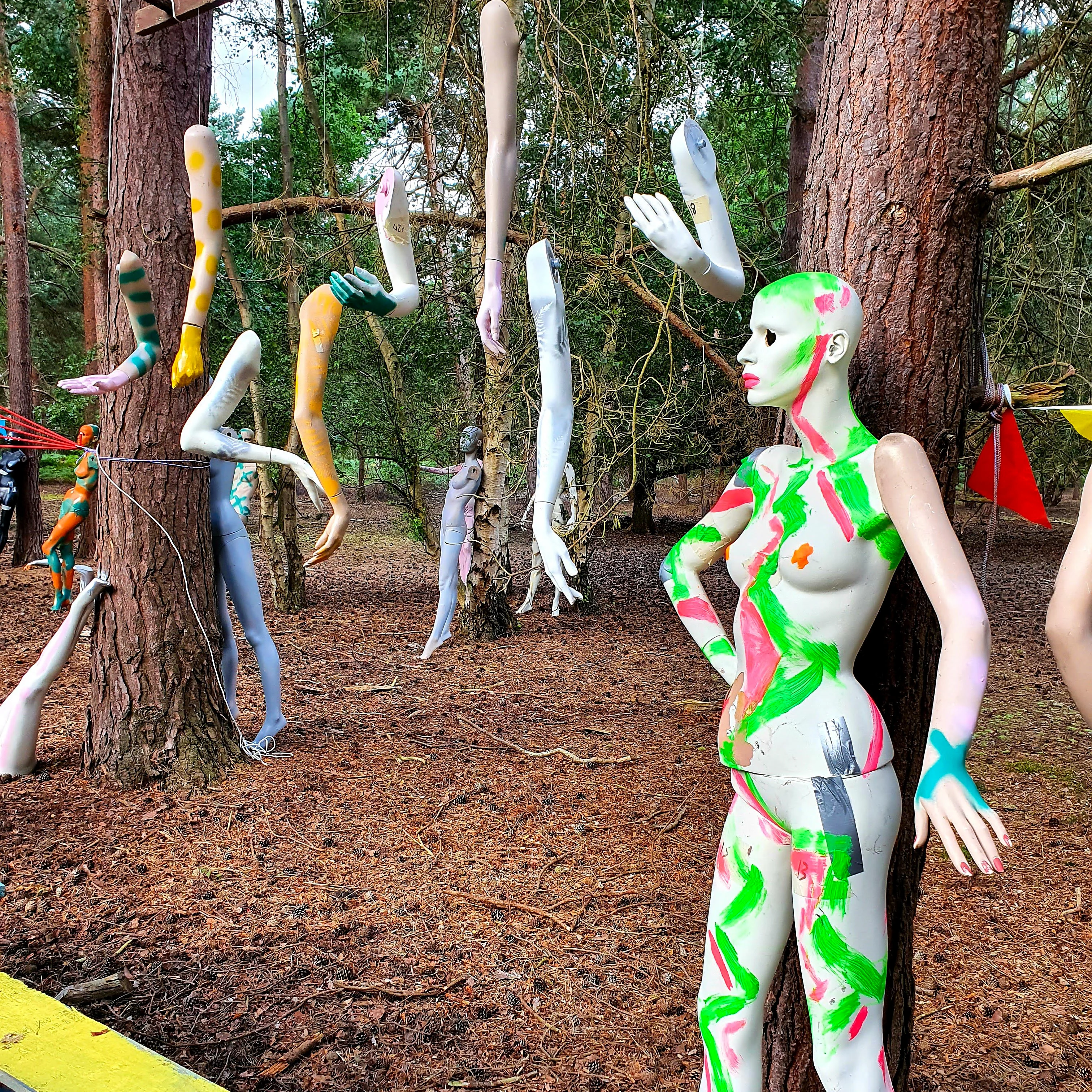 wood-party-24 wood-party-24