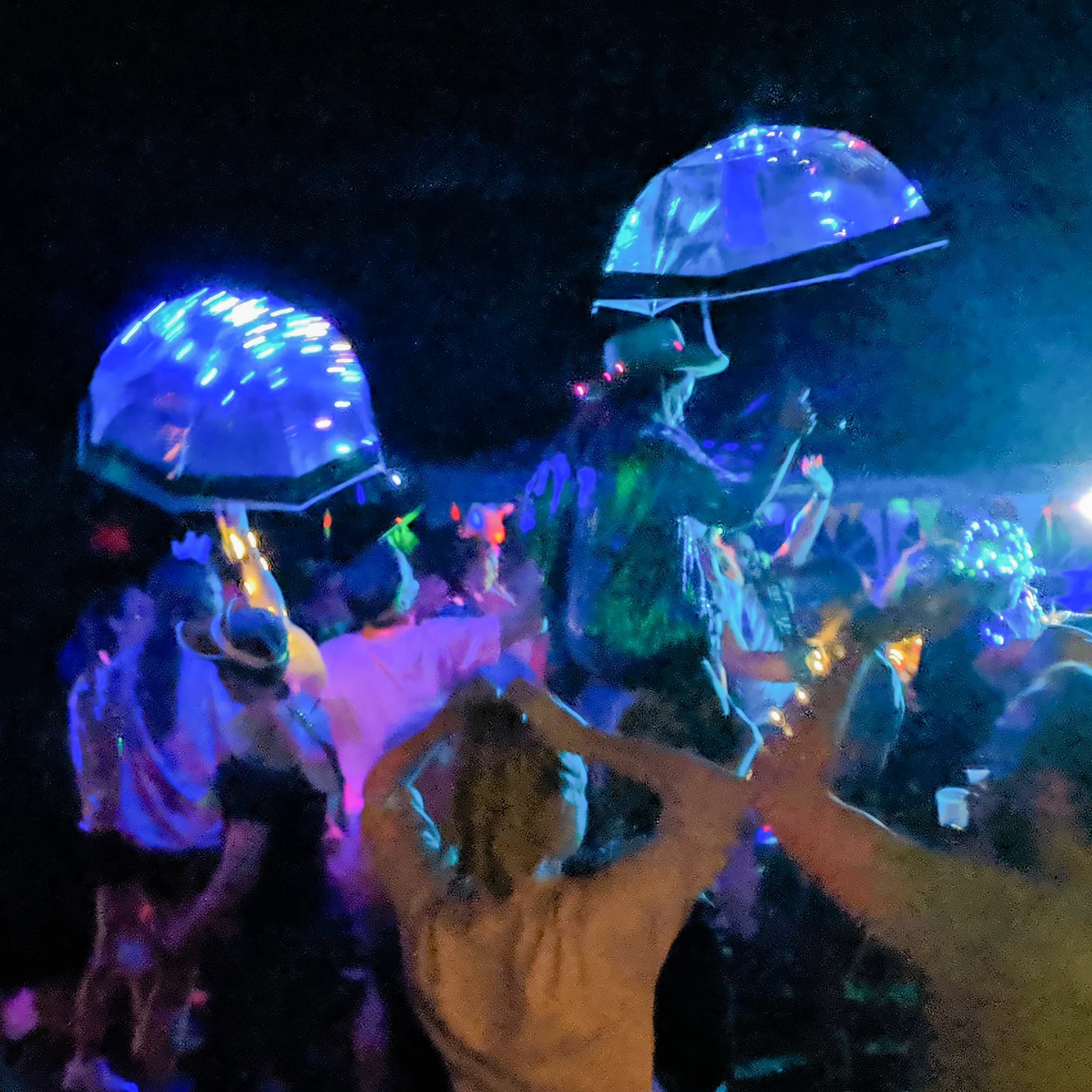 wood-party-30 wood-party-30