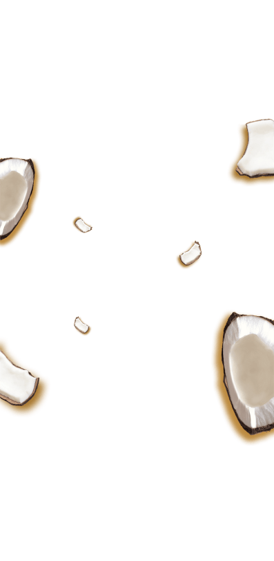 Trozos de coco esparcidos