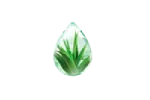 アロエ