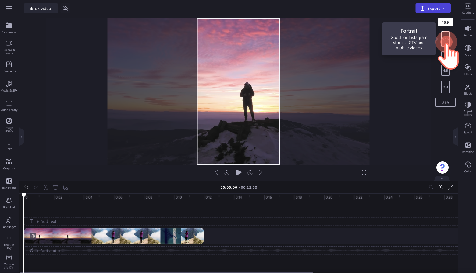 Resize Videos for TikTok Online