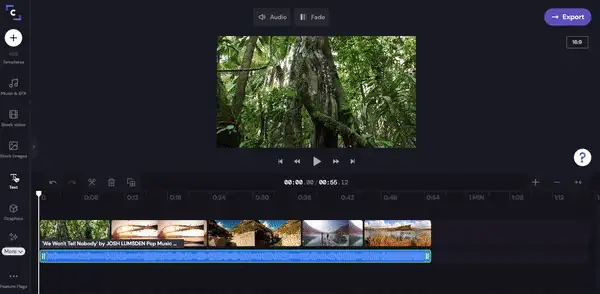 Step 6. Add in your lyrics