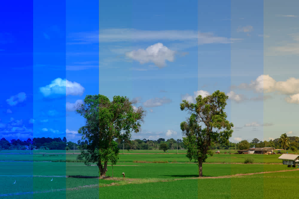 What is white balance? How to perfect white balance in video production?-Clipchamp blog