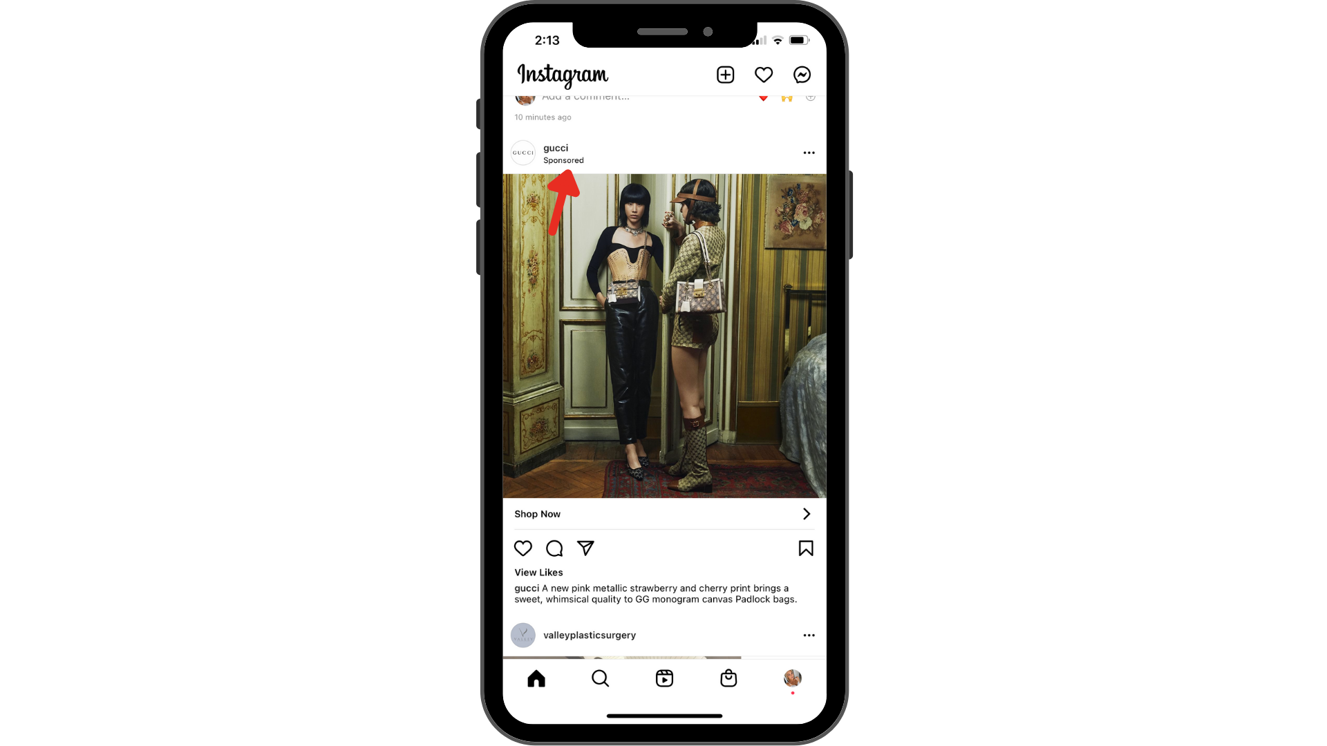 B) Brand sponsored Instagram posts