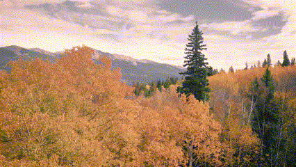 GIF-изображение фильтра "Сны в пастельных тонах" в Clipchamp.