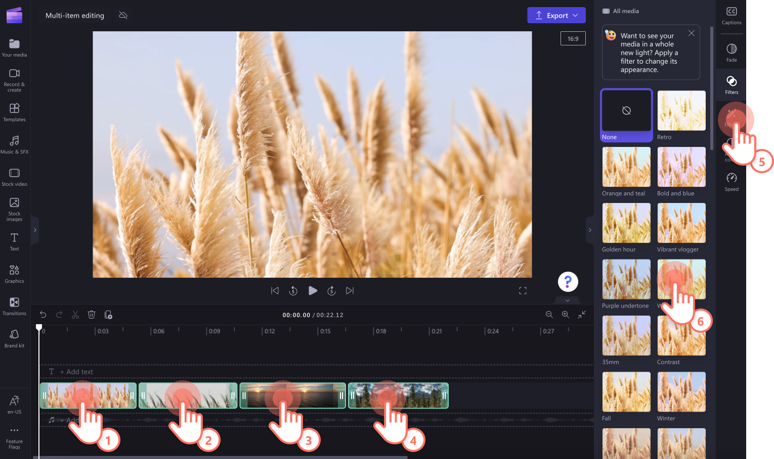 An image of a user multi-applying filters to videos.
