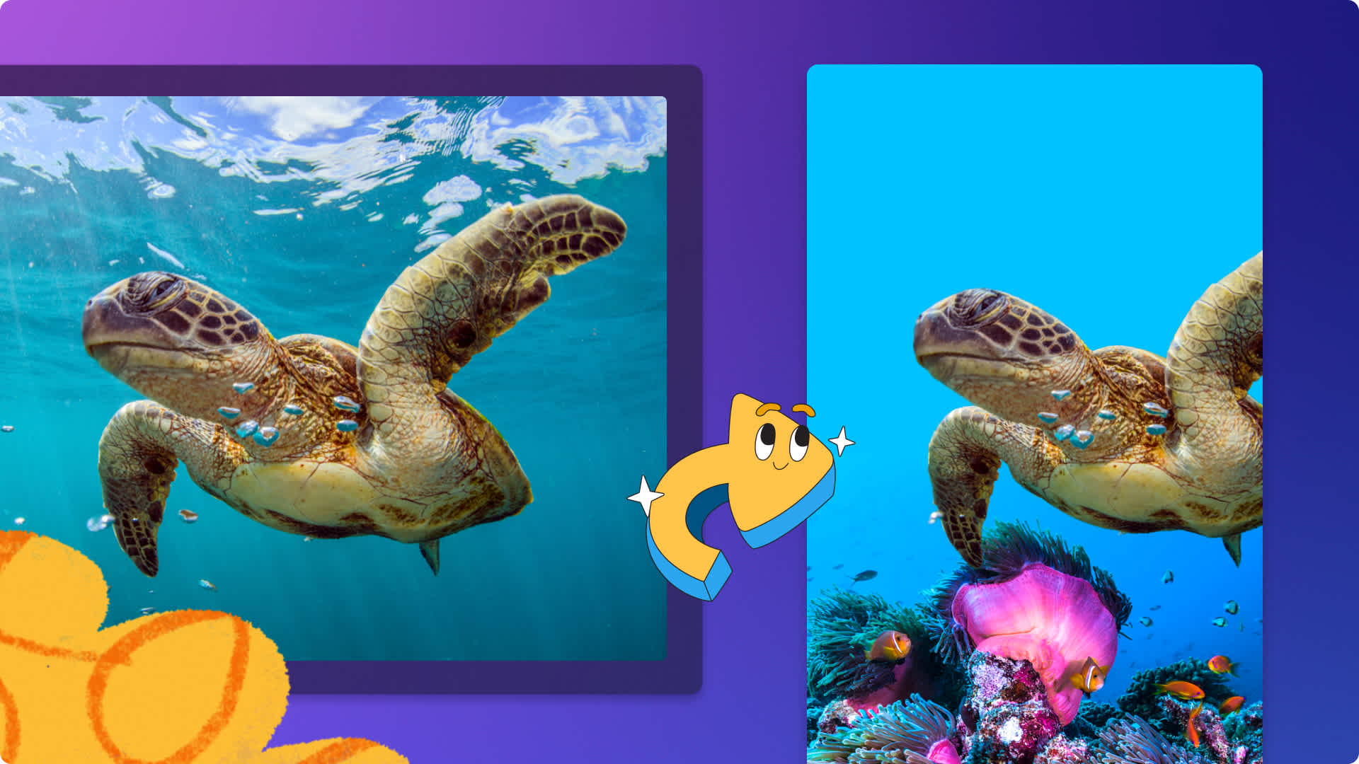 An image of a user removing a background of an under the sea image.