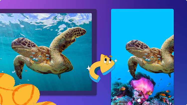 Image background remover. Remove background for free online