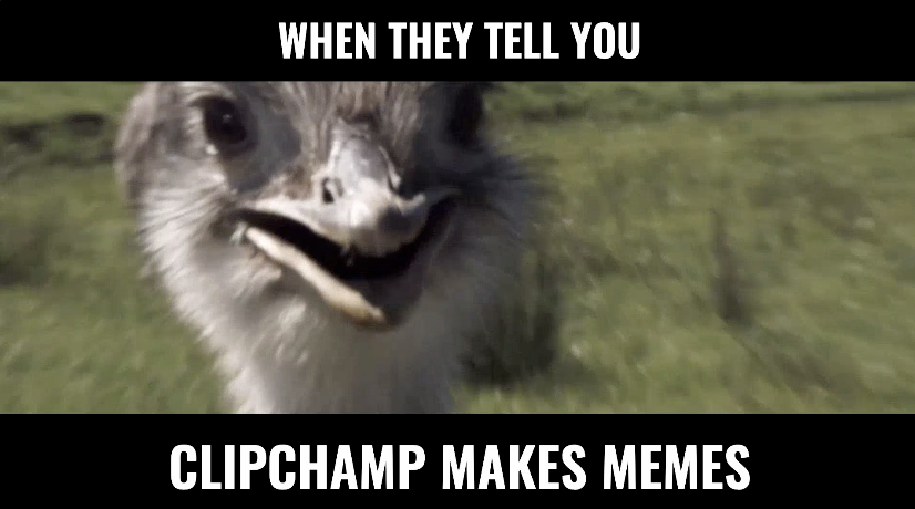 Free video meme generator | Clipchamp
