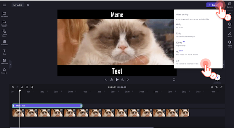 Video Script Meme How to make video memes | Clipchamp Blog