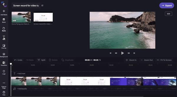 screen recorder and editor