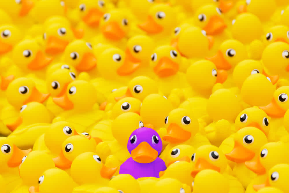Unique purple duck standing out from other toys - 3 Easy Ways To Make Your Sales Emails Stand Out in 2021 - Clipchamp Blog