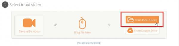 select-input-video