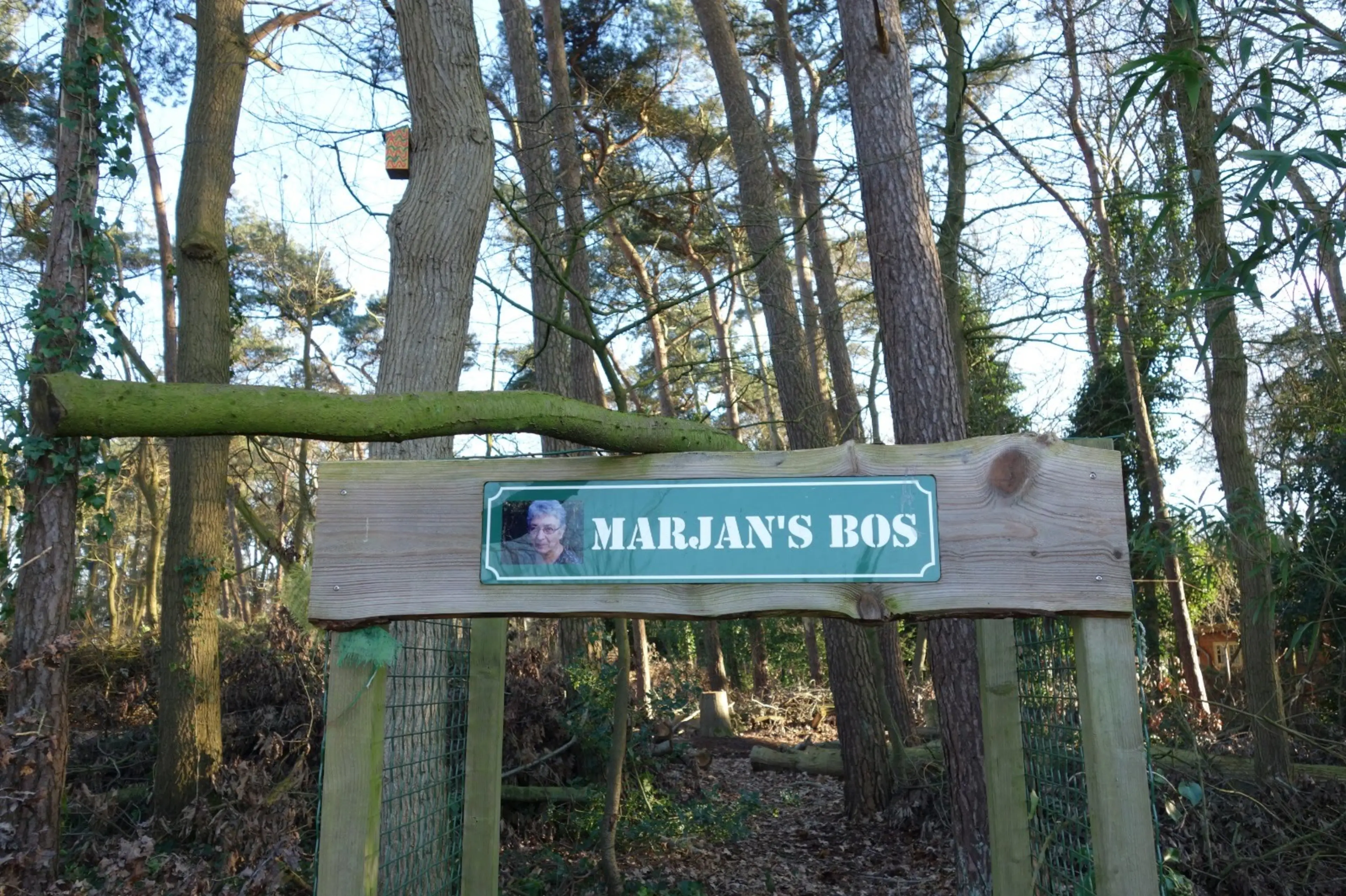 Marjan's bos