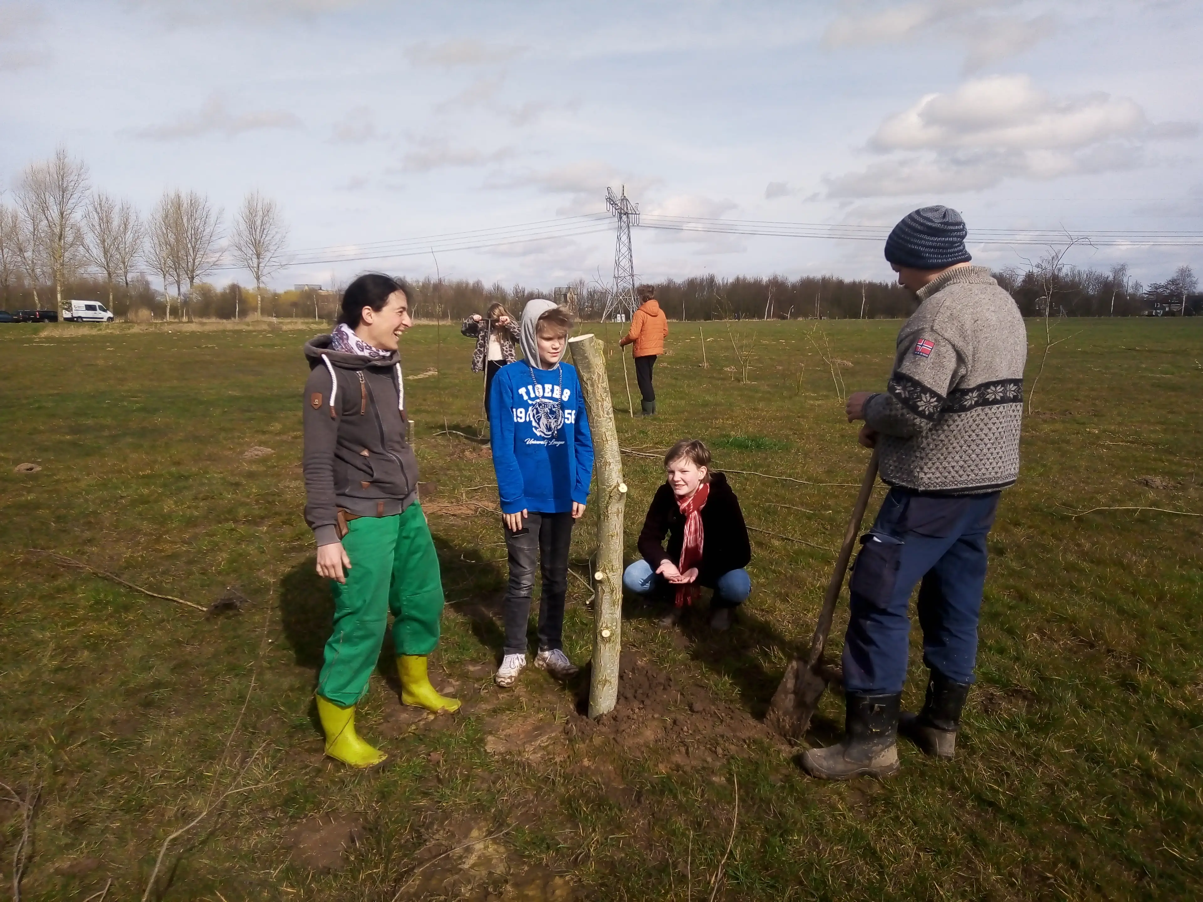 Eerste aanplant Haverlei